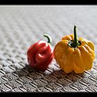 nicht scharf; die Habaneros