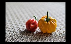 nicht scharf; die Habaneros