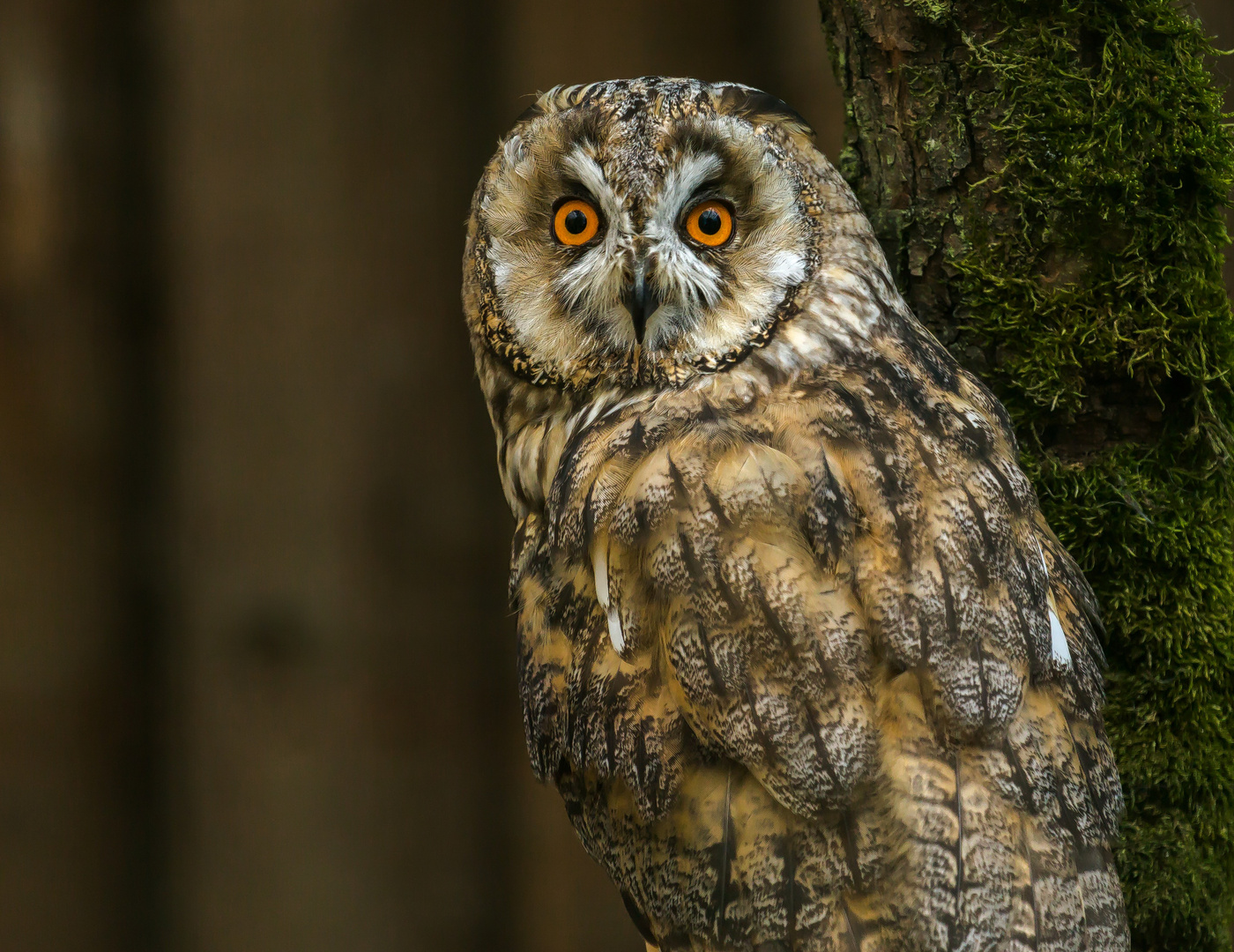 Nicht schon wieder ....fotografieren ...immer  diese Canonfuzzis 