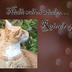 "Nicht schon wieder... Raindrops"