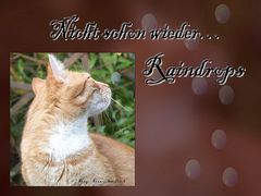 "Nicht schon wieder... Raindrops"