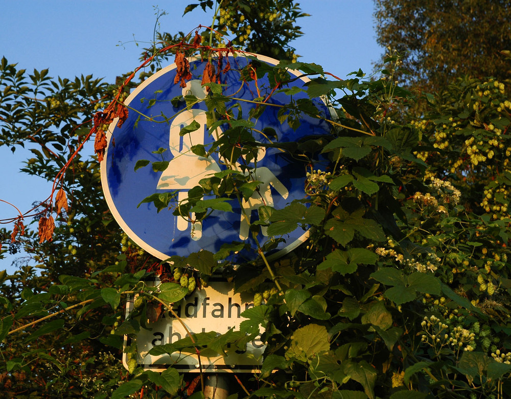 nicht so schnell aufgeben von Tanja Rode