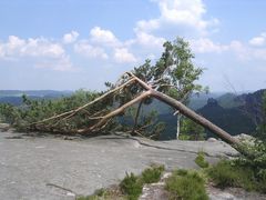 Nicht Stand gehalten