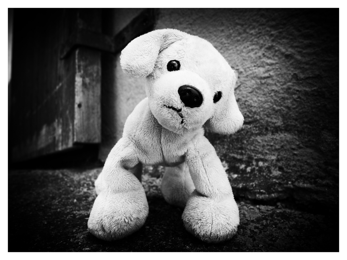 Nicht traurig sein.... Foto & Bild stillleben, teddies, s/w Bilder
