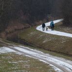 Nicht überall sind Ponyhöfe