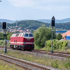 Nicht untergetaucht am Brockenblick