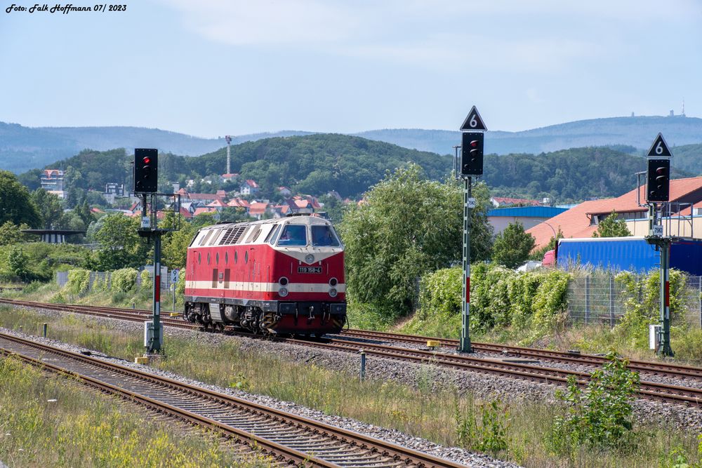 Nicht untergetaucht am Brockenblick