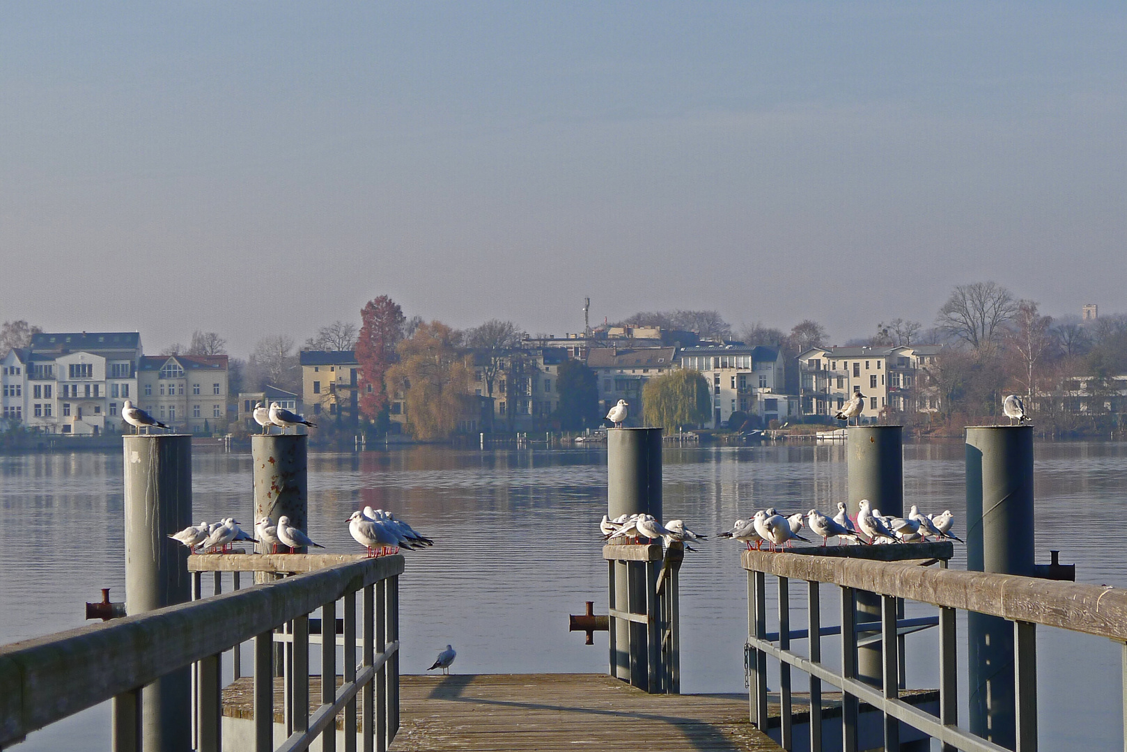 nicht viel los jetzt auf'm Wasser