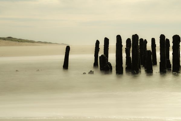 Nicht von dieser Welt