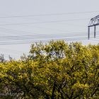 NICHT VOR MEINER HAUSTÜR BIS ZUM HORIZONT