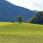 Nicht weit weg vom Wolfgangsee (Oberösterreich, Salzkammergut))