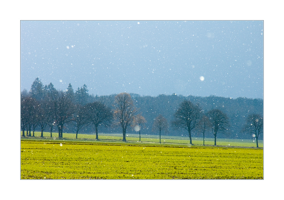 ...nicht Winter, nicht Frühling... - ...leise rieselt der Schnee...