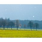 ...nicht Winter, nicht Frühling... - ...leise rieselt der Schnee...