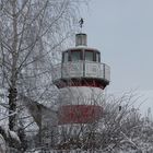 nicht zu finden an der Ostsee oder Nordsee sondern bei uns vor der Haustür