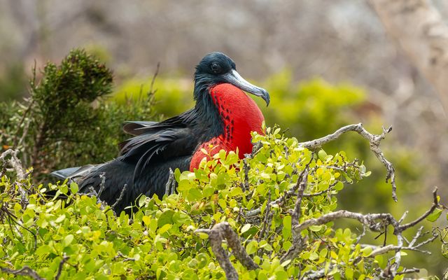 °°_Nicht zu Übersehen_°°