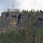 Nicht zu zählende Bilder gibt es vom Lilienstein, wenn er die Landschaft dominiert...