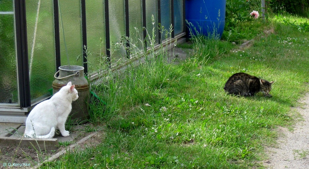 Nichts abgegeben ! ; 2012-06-17