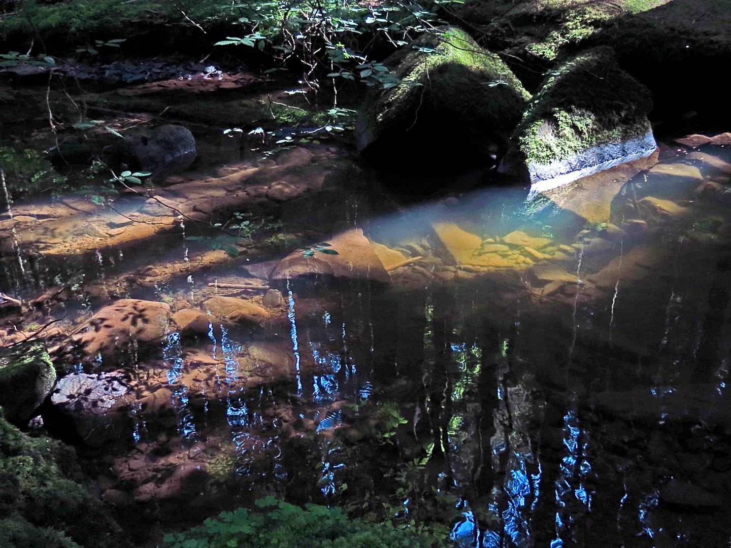 nichts als Wasser im Monbachtal