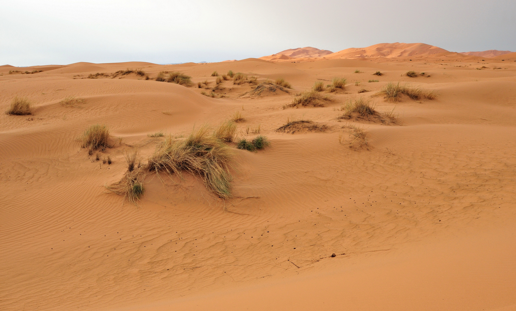 Nichts außer Sand