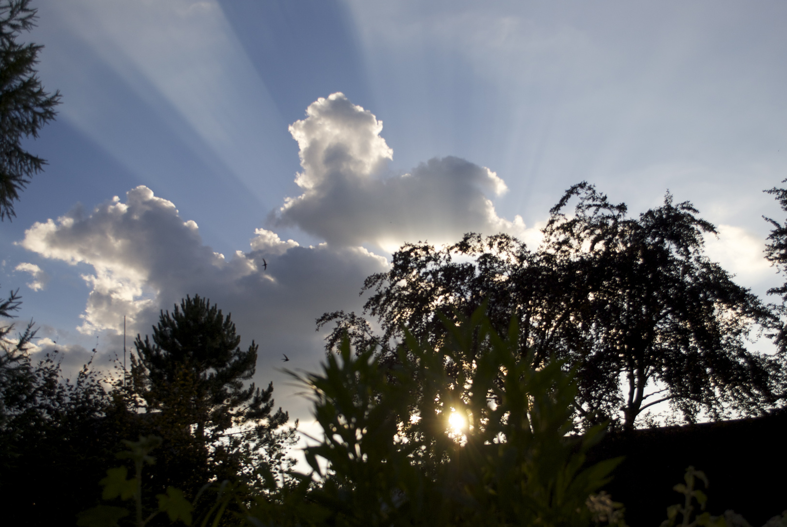 nichts gegen den blauen Himmel