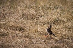 Nichts gegen Selbstbewusstsein...