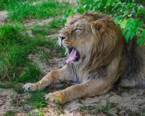 Nichts im Program….