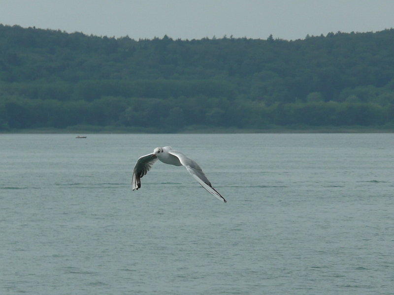 Nichts ist schöner als Fliegen;-)