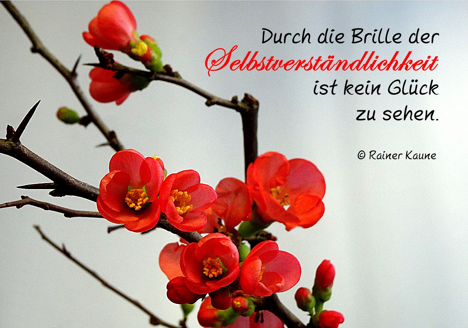 40+ Nichts ist selbstverstaendlich sprueche ideas in 2021 spruchetod