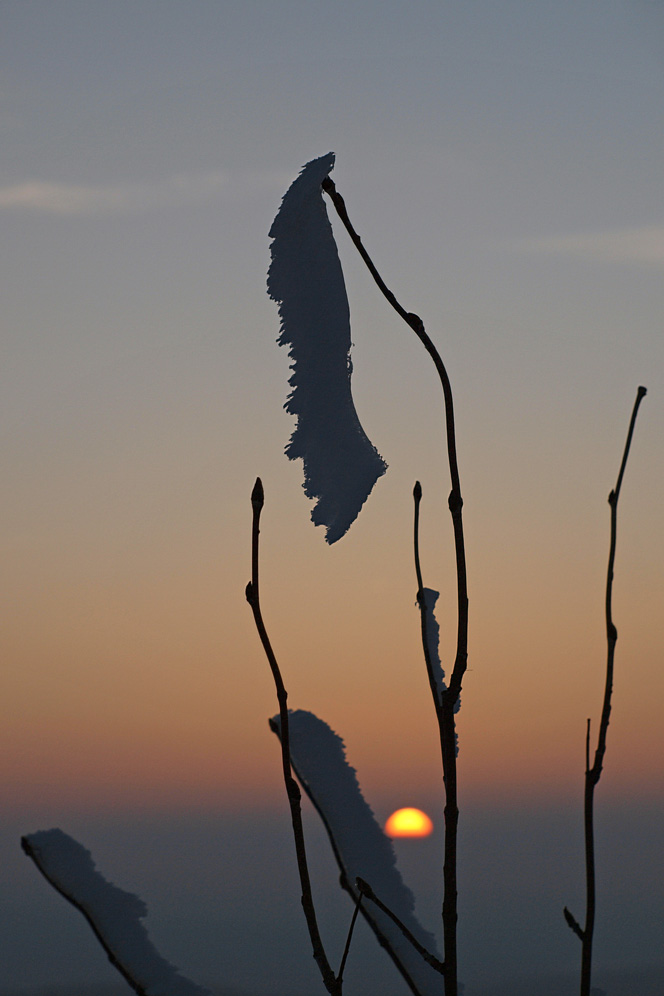 Nichts mit Frühling...