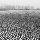 (Nichts) Neues vom Niederrhein-Winter