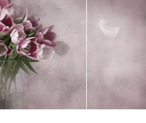 nichts verfliegt ...