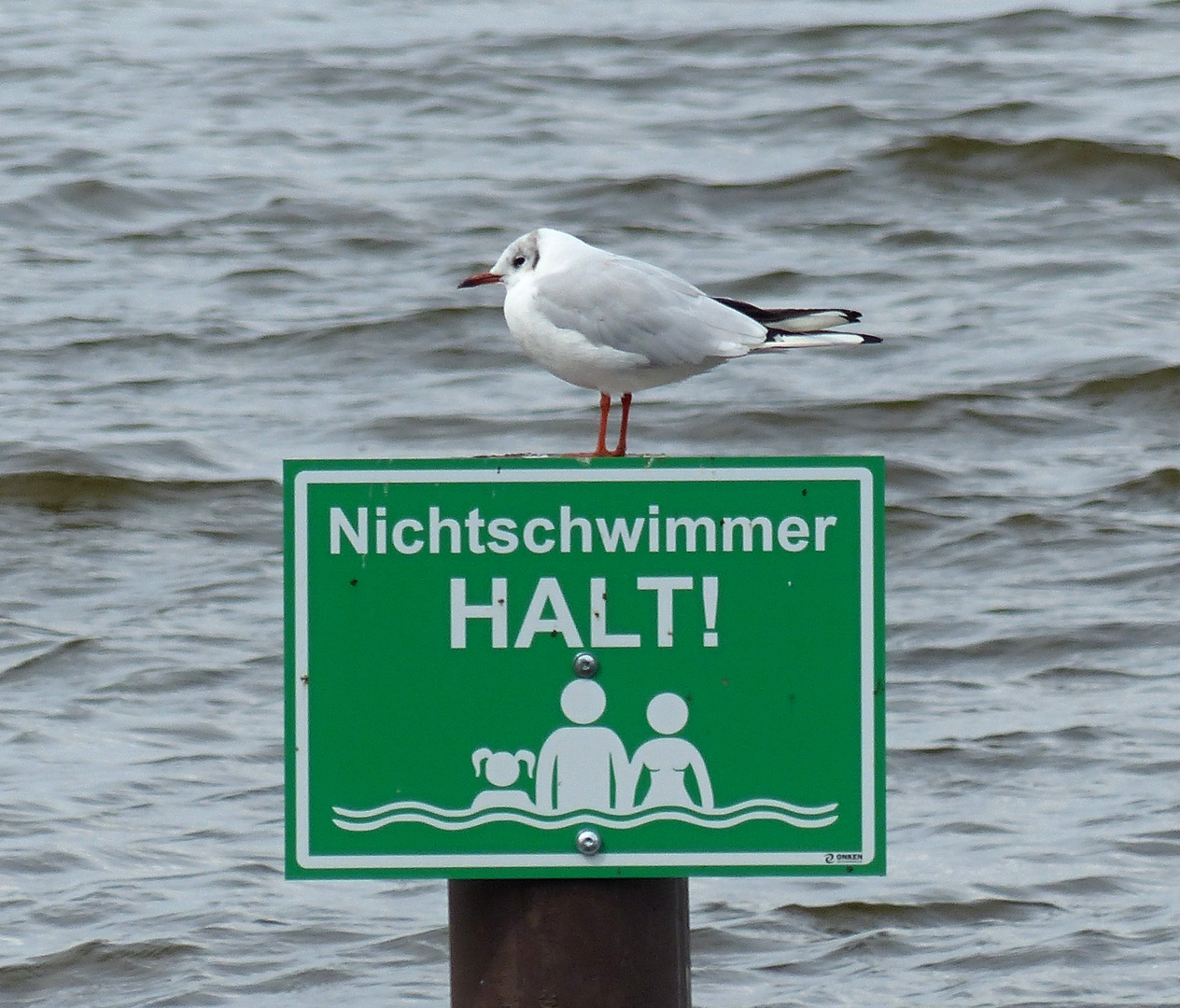 Nichtschwimmer  HALT !