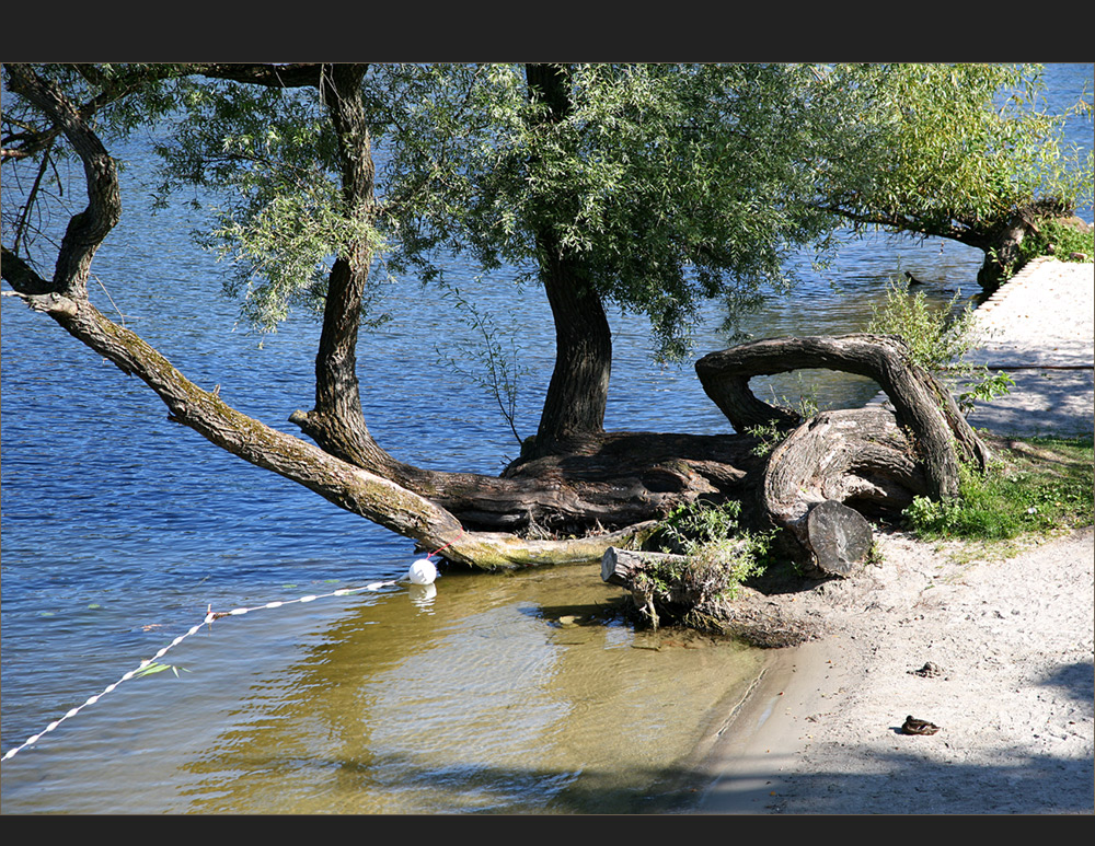 Nichtschwimmerbecken