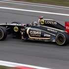 Nick Heidfeld Lotus Renault GP R31