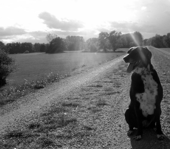 Nicky im Gegenlicht