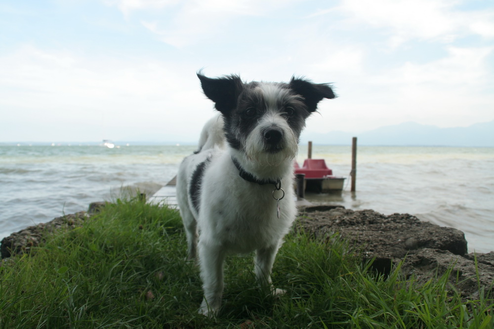 Nico am Chiemsee