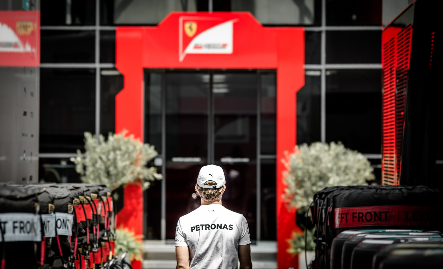 Nico & Ferrari