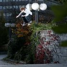 nico ollie stuttgart