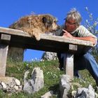 User Profile Photo