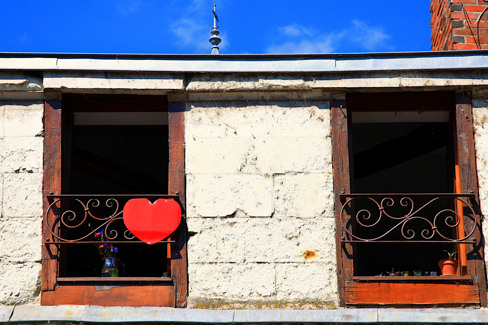 Un Nid D Amour Pour Noel Nid d'amour? photo et image | photos art et culture, sujets Images