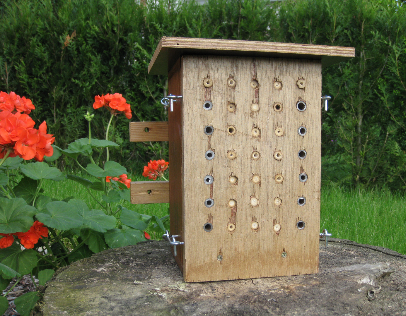 nid pour abeilles solitaires (1) vue extérieure