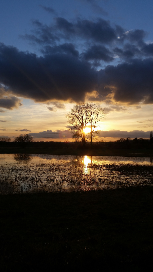 Nidda-Auen Wetterau.