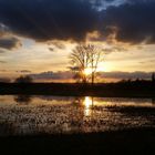 Nidda-Auen Wetterau.