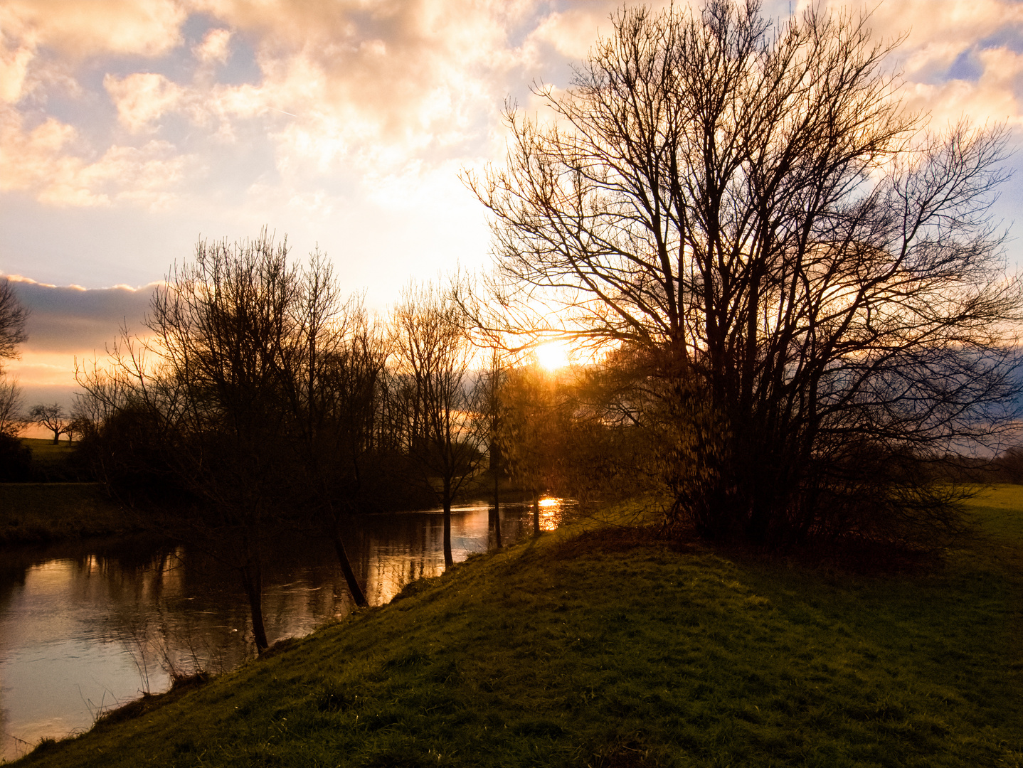 Nidda bei Bonames