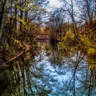 Nidda in Frankfurt Rödelheim