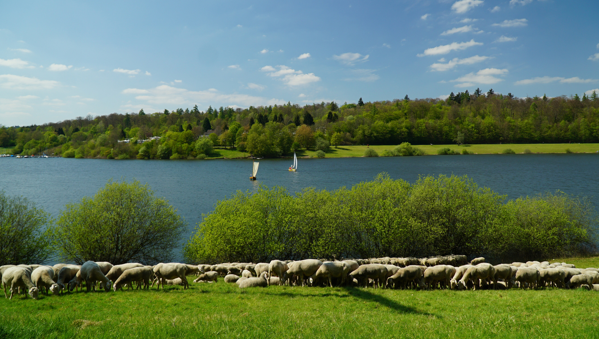 Nidda Stausee in Schotten Vogelsberg Hessen