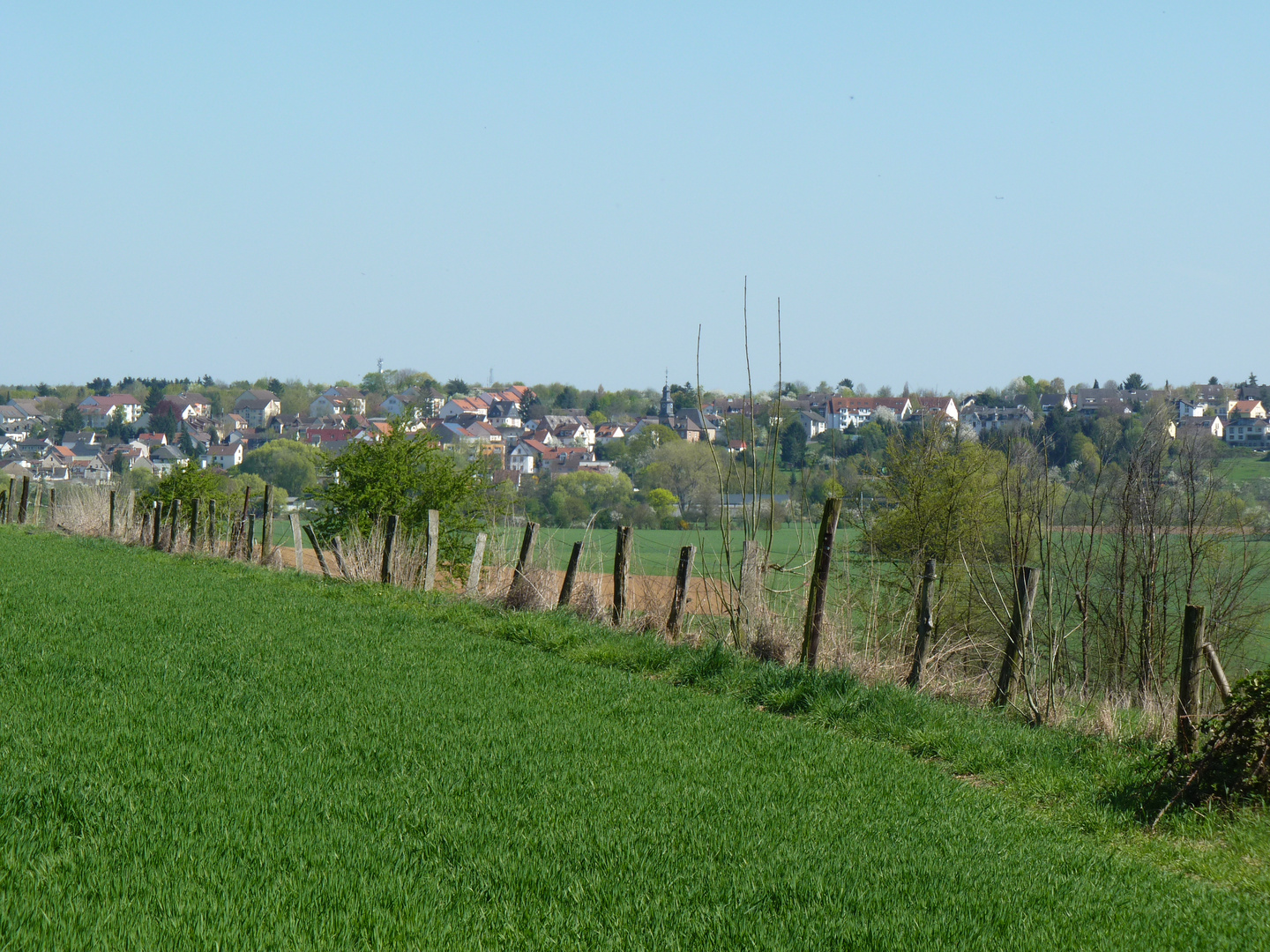 Niddaaue bei Frankfurt mit Blick auf Berkersheim