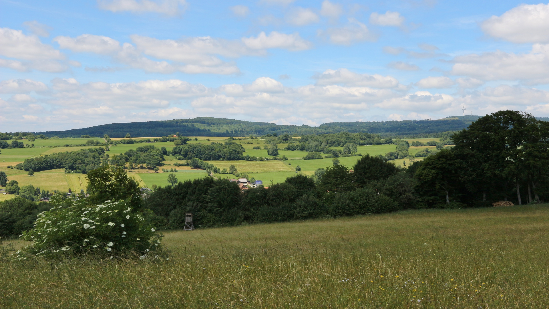 Niddertal bei Burkhards (2017_06_18_EOS 100D_1617_ji)