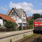 Niddertalbahn Juli 2009 (II)