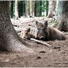 " Nie hat man seine Ruhe, vor diesen Fotografen...!